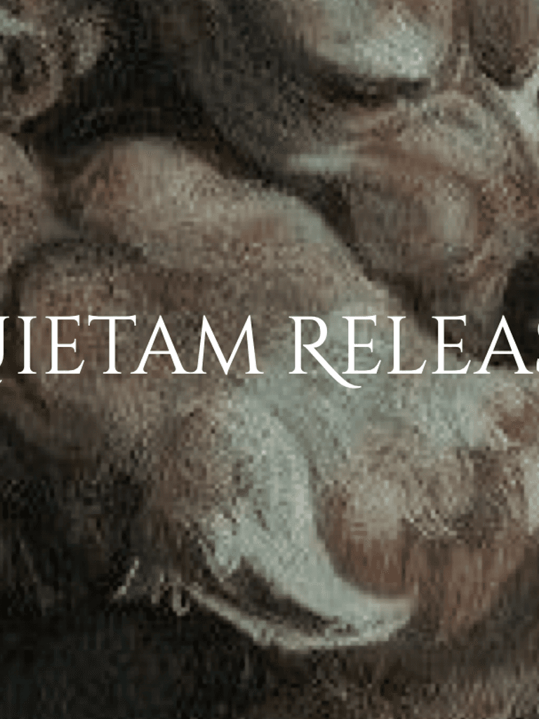Quietam Release